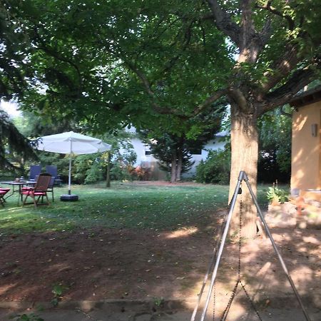 Biggi'S Garten-Finca フロンハイム エクステリア 写真