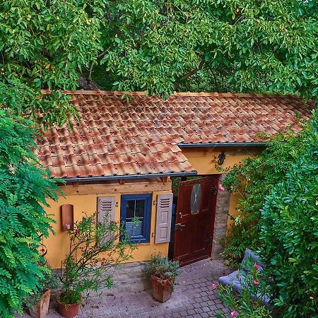 Biggi'S Garten-Finca フロンハイム エクステリア 写真