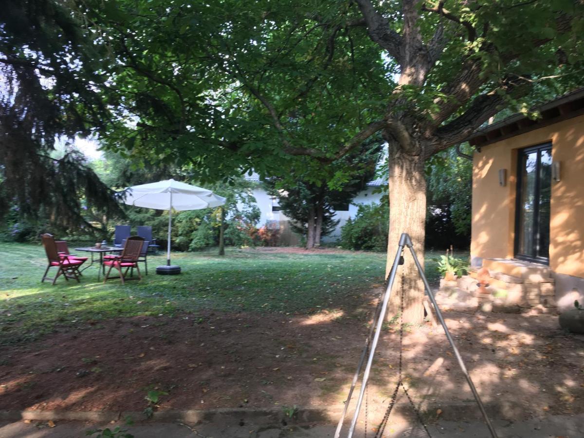 Biggi'S Garten-Finca フロンハイム エクステリア 写真